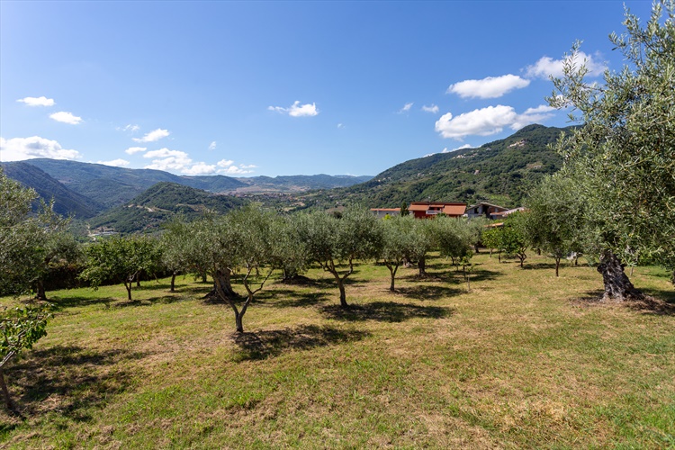 in vendita Agriturismo a Patti ME