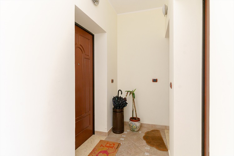 appartamenti con terrazzo  in zona nord 
