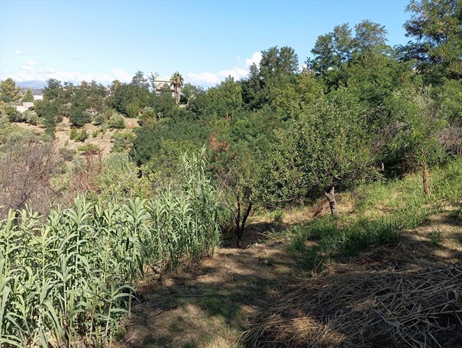in vendita a castroreale me casequattropareti