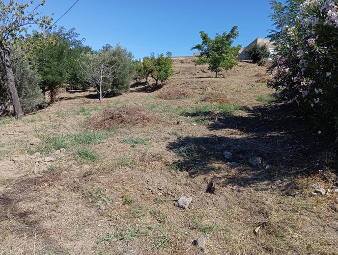 in vendita a castroreale me casequattropareti