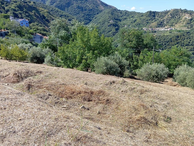 in vendita a castroreale me casequattropareti