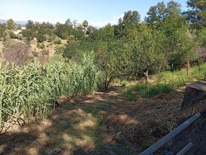 in vendita a castroreale me casequattropareti